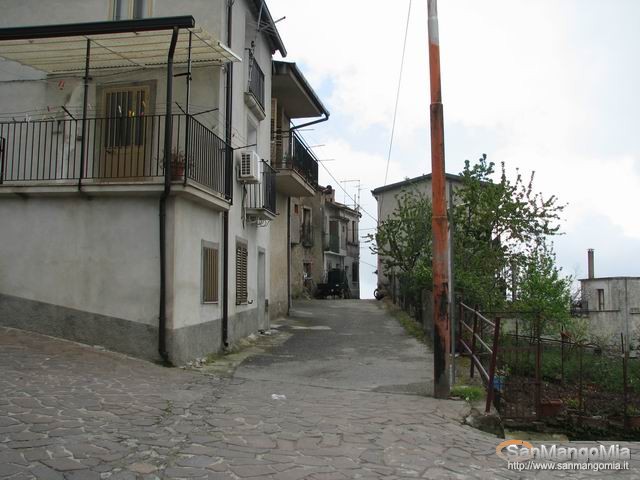 Rughe suprane 020